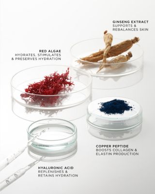 The Elemental Hydrating Preparation Essence