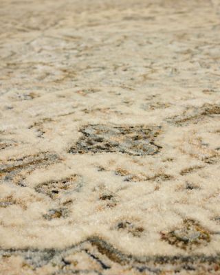 Divina Gloriana Area Rug, 8' x 10'