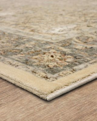 Divina Virtuous Area Rug, 6'6" x 9'6"