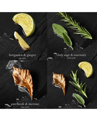 Acqua di Giò Parfum 3.3 oz.