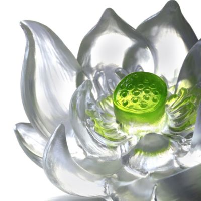 Tranquil Heart Lotus Flower 