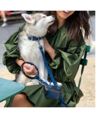 Medium Leather Adjustable & Water Resistant Dog Collar