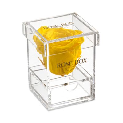 Rose Box Nyc Single Rose Jewelry Box