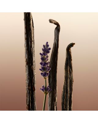 Goddess Shower Gel for Women 6.8 oz.