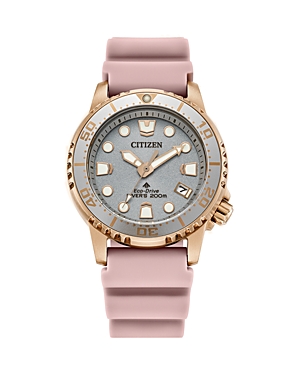 Shop Citizen Eco-drive Promaster Dive Watch, 36.5mm In Gray/pink