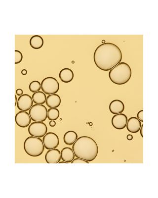 No Frizz Vanishing Oil 1.7 oz.