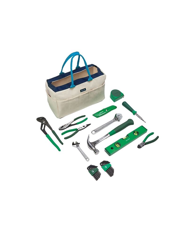 Character Carry-All 13-Piece Tool Set with Tool Bag