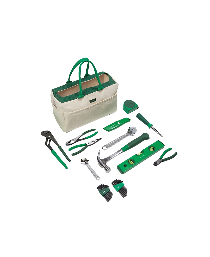 Character Carry-All 13-Piece Tool Set with Tool Bag