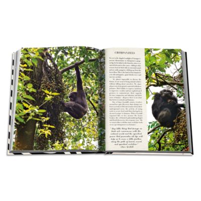 African Adventures: The Greatest Safari on Earth