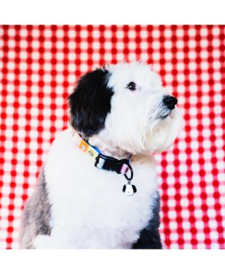 Happy Walking Dog Collar