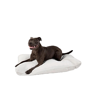 Diggs Medium Pillo Dog Bed In Ash