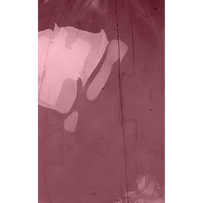 Orto Murano Glass Carafe