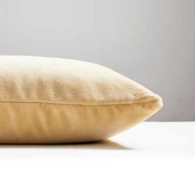 Torino Velvet Decorative Pillow, 22" x 22"
