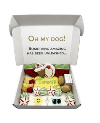 Summer Themed Dog Treats Gift Box