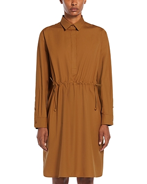 Shop Max Mara Juanita Dress In Tobacco