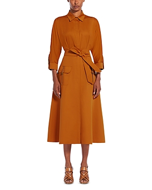 Shop Max Mara Sibari Dress In Earth