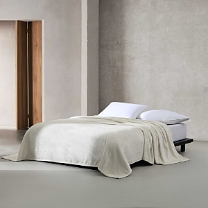 Calvin Klein Core Plush Solid Bed Blanket, Twin In Neutral