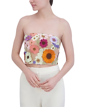 Shop Bcbgmaxazria Tulle Floral Embroidered Crop Top In Champagne