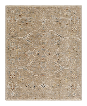Surya Reina Ren-2300 Area Rug, 7'10 X 10'3 In Tan