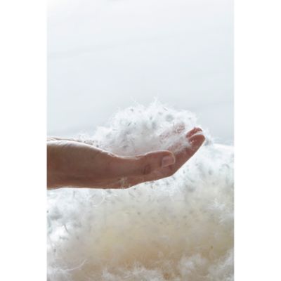 Cortina Down Comforter