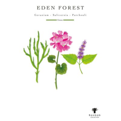 Max 16 Eden Forest Candle