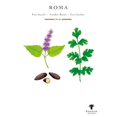 My First Baobab Candle &amp; Diffuser Gift Box – Roma