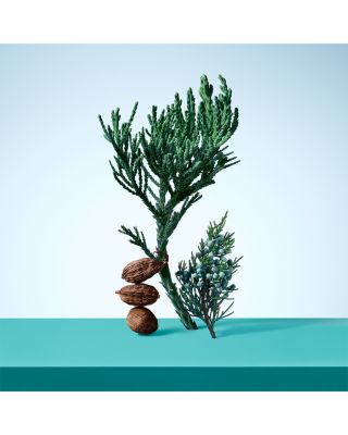 Tiffany & Love for Him Eau de Toilette 3 oz.