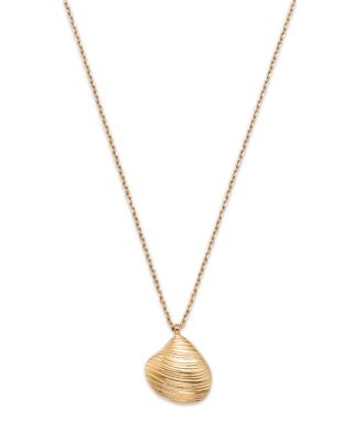 Moon & Meadow - 14K Yellow Gold Shell Pendant Necklace, 18"