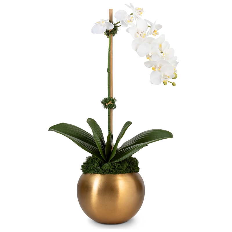 CocoBella Adeline Gold-Tone Real Touch Orchid Botanical