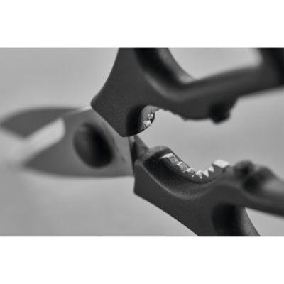 Come Apart Kitchen Shears