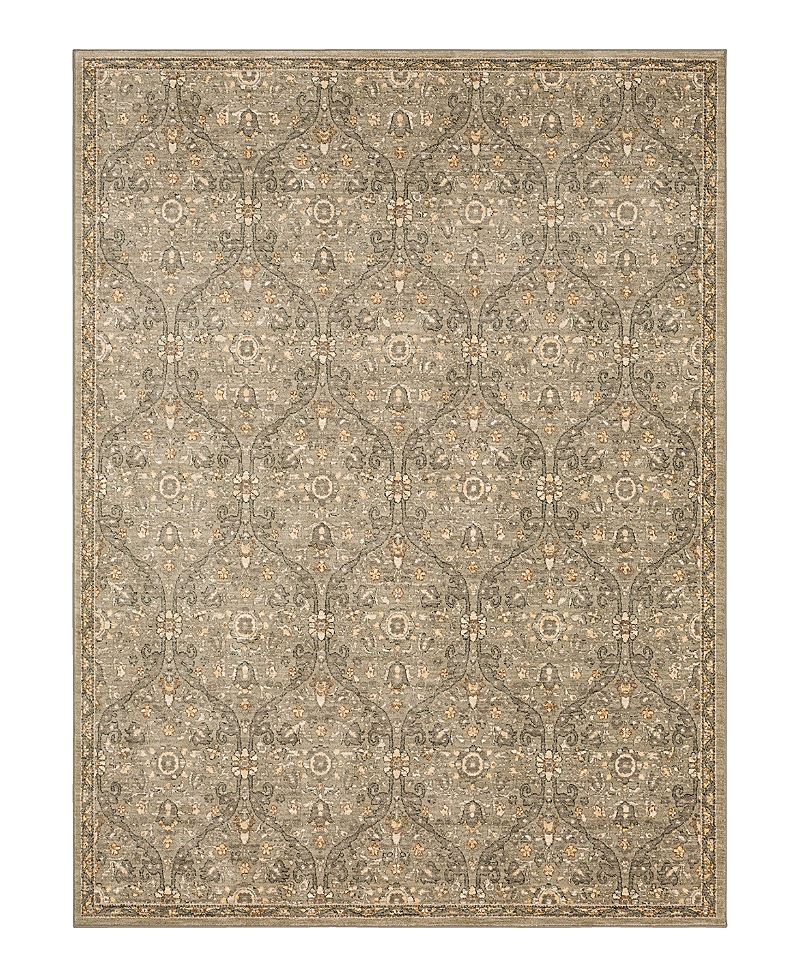 Karastan Euphoria Galway Area Rug, 8' X 11' In Willow Gre