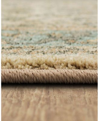Karastan Euphoria Monaghan Area Rug, 8' x 11'