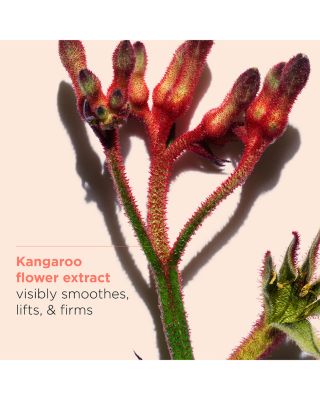 Extra-Firming & Smoothing Day Moisturizer, SPF 15 for All Skin Types 1.7 oz.