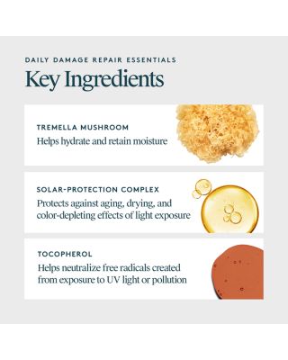 Daily Damage Repair Essentials Set ($83 value)