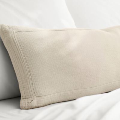 Dream Lumbar Pillow with Insert, 14&amp;quot; x 34&amp;quot;