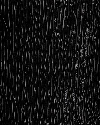 Victaria Sequined Fringe Mini Dress