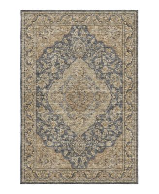 Dalyn Rug Company - Dalyn Hatay HY3 Area Rug, 8' x 10'