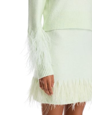 Briana Feather Trim Crewneck Sweater