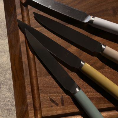 Matte Stainless Steel Set of 4 Table Knives and Holder