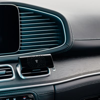 Les Exclusives Platinum Car Diffuser, Floral