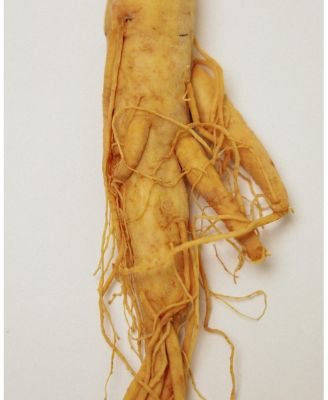 Ginseng HPR Retinoid + Bakuchiol Face Oil