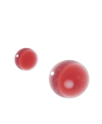 Falling into the Rose Mist