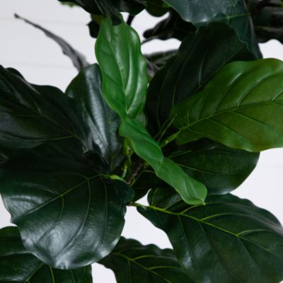 Artificial Fiddle Leaf Tree, 12'