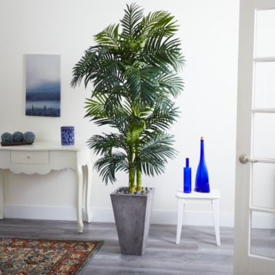 7&#39; Golden Cane Artificial Palm Tree in Cement Planter