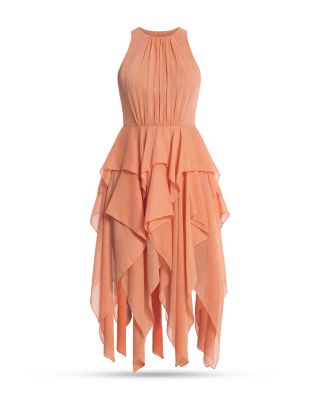 Ruffle Skirt Dress