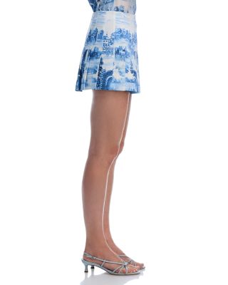 Carter Stitch Pleated Mini Skirt