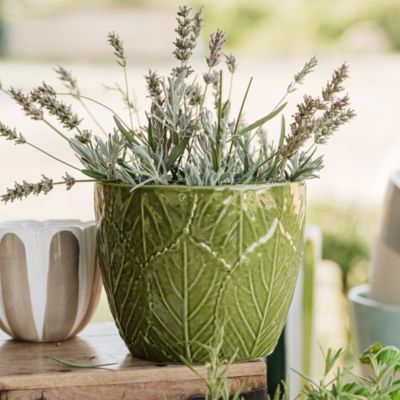 Viva Garden Embossed Leaves Cachepot