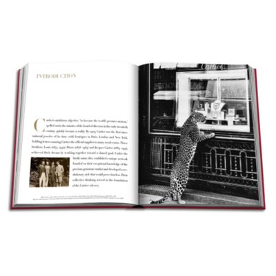 Cartier: The Impossible Collection