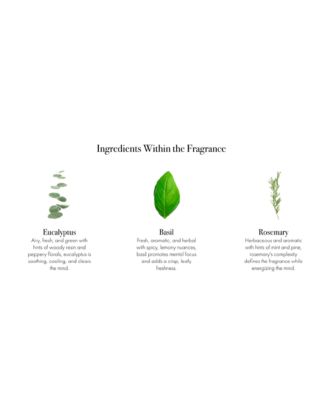 Sea & Dune Classic Candle, 6.5 oz.