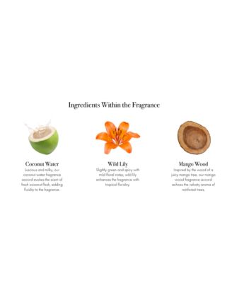 Jungle Bloom Signature Candle, 15.5 oz.